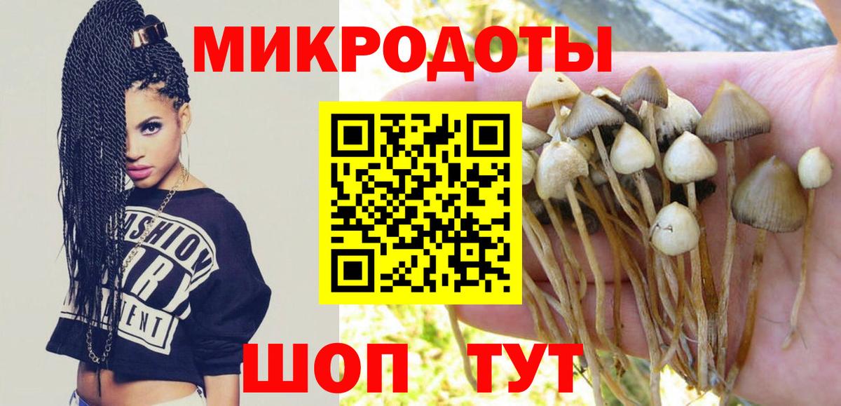 Галлюциногенные грибы Psilocybine cubensis  Псилоцибиновые грибы MAGIC MUSHROOMS  Одинцово  Вход с VPN 
