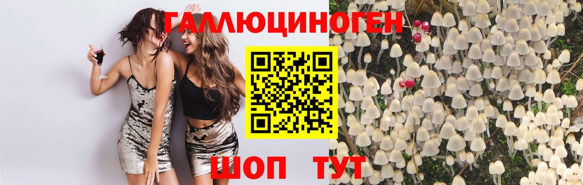 Псилоцибиновые грибы MAGIC MUSHROOMS Одинцово